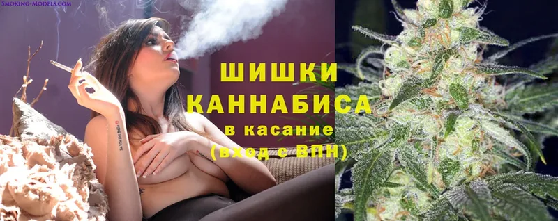 дарк нет наркотические препараты  купить наркотик  Знаменск  Шишки марихуана THC 21% 